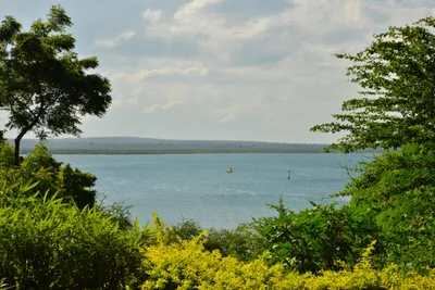 DSC_4593 (Large).JPG